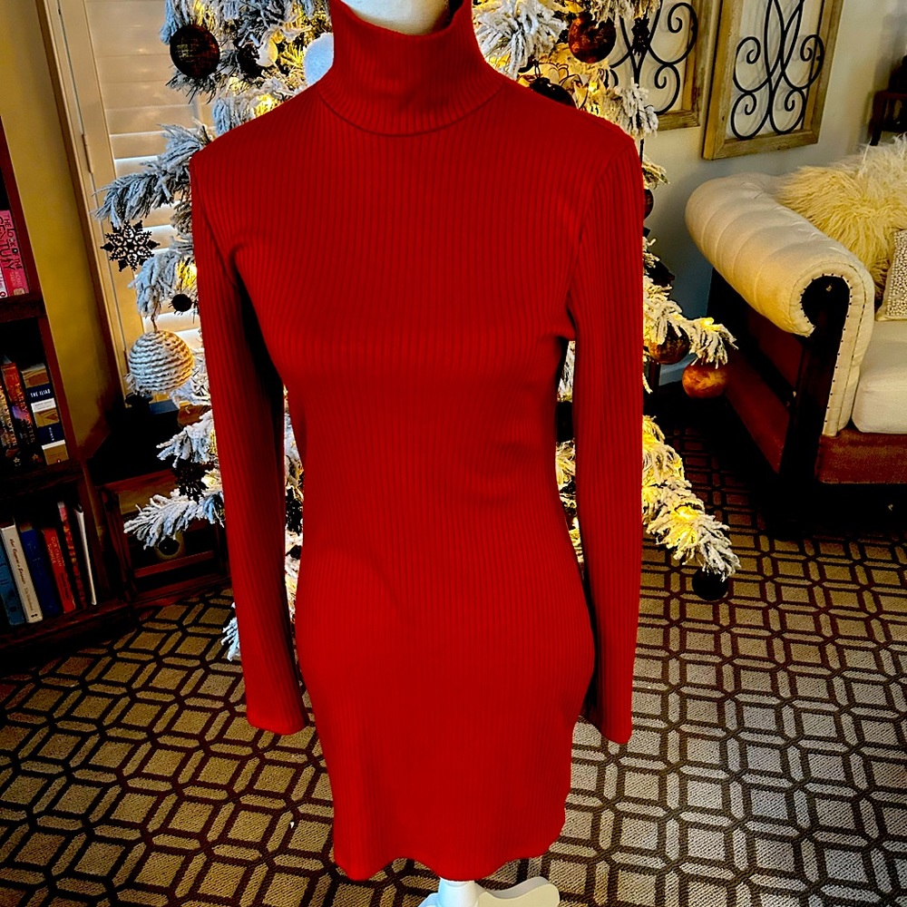 Urban outfitters turtleneck dress